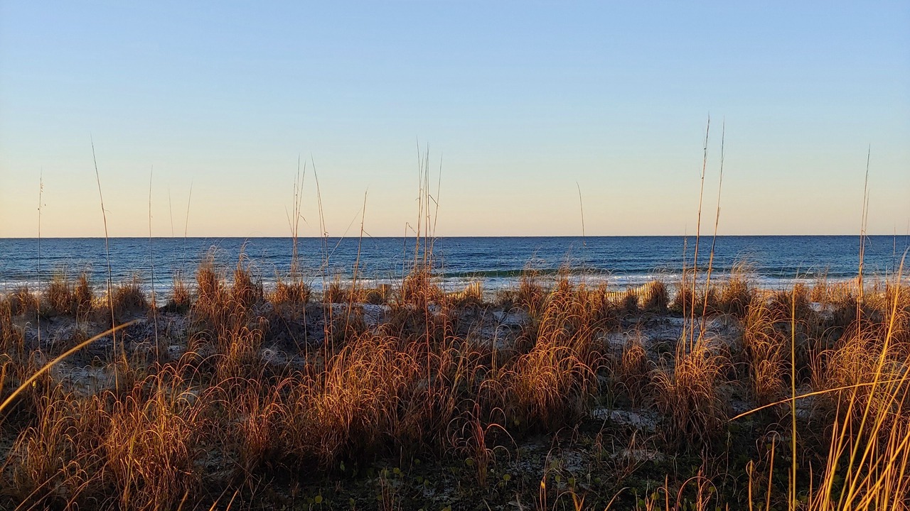 Photo of Outdoor in Fort Walton Beach