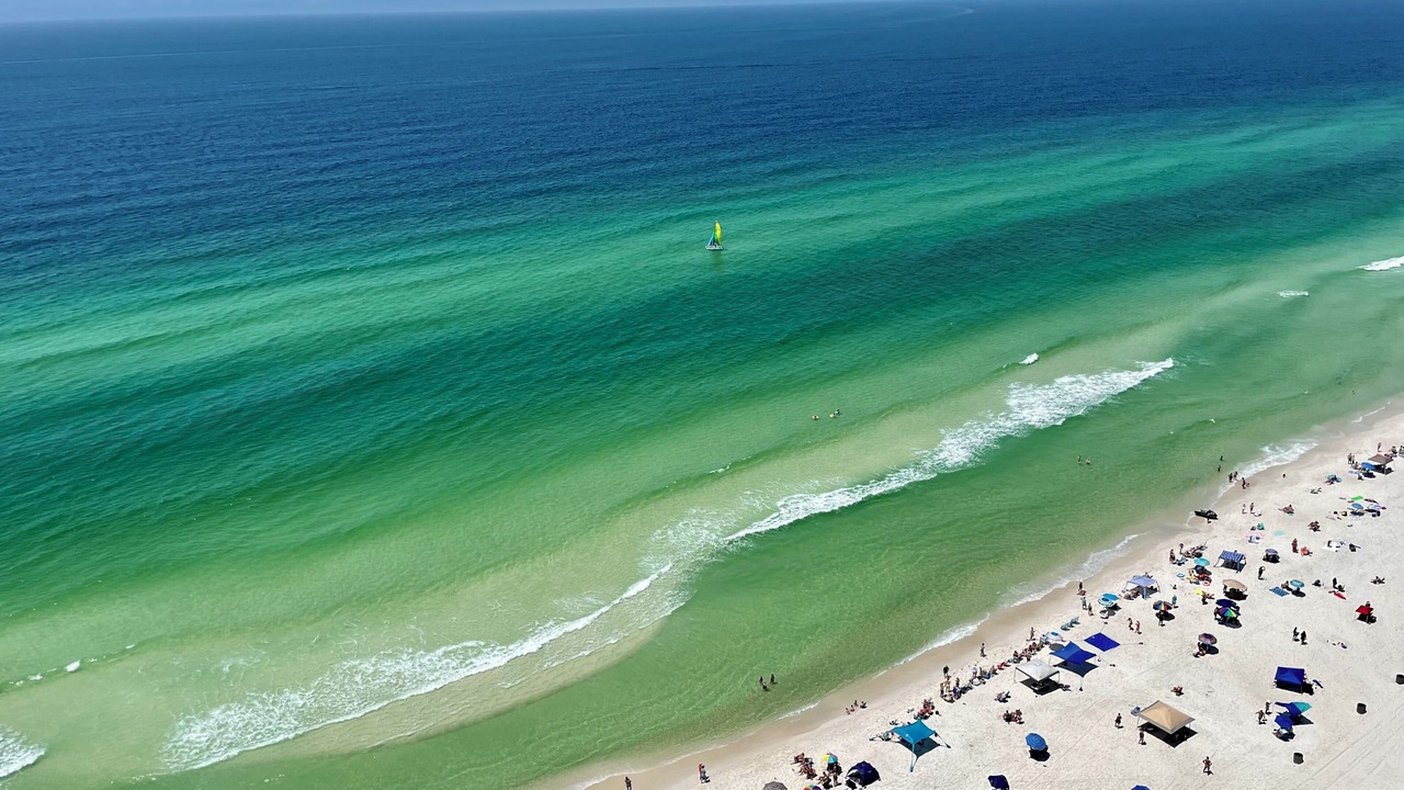 Photo of Others in West Panama City Beach