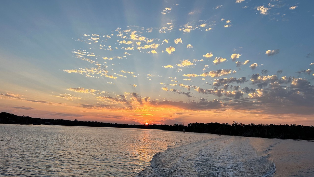 Photo of Others in Homosassa