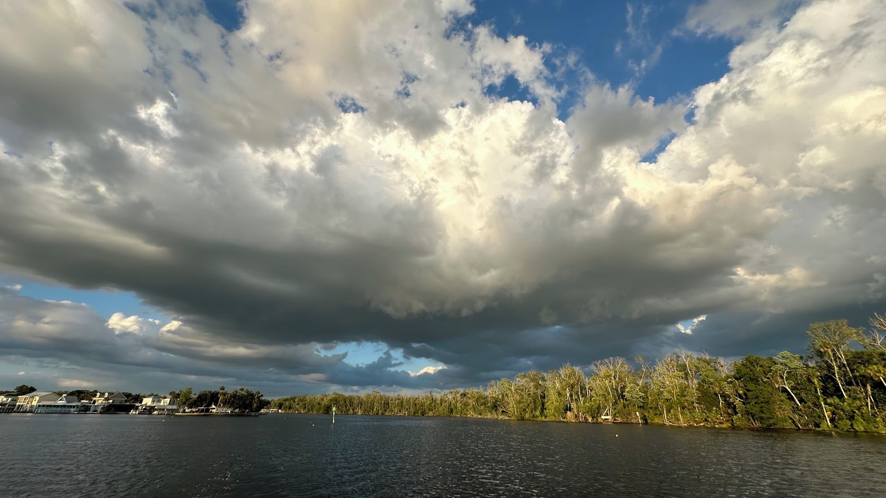 Photo of Others in Homosassa