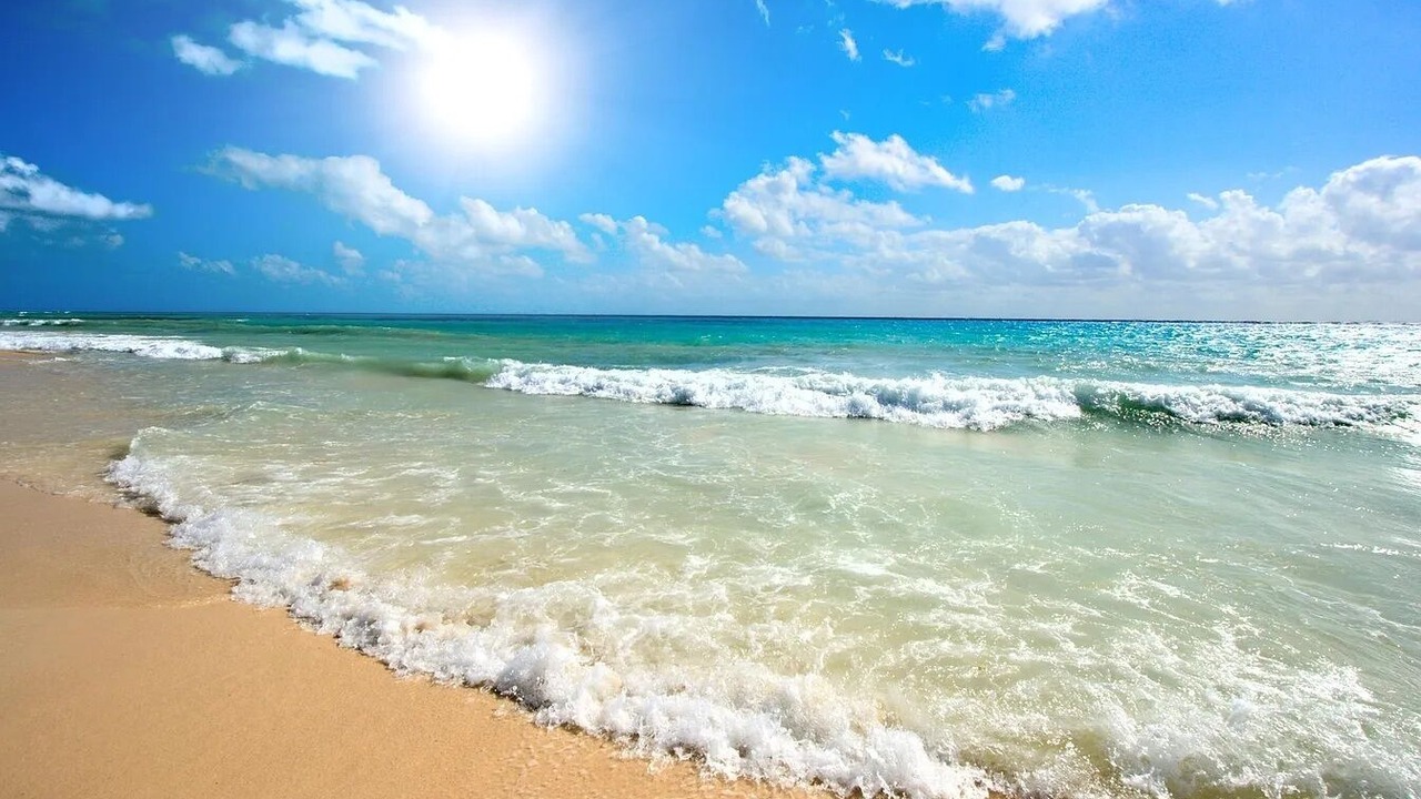 Photo of Others in Daytona Beach Shores
