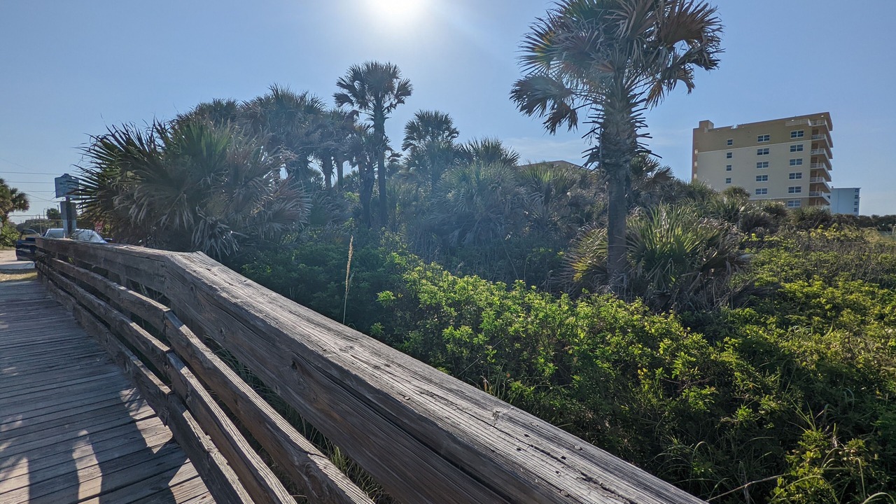 Photo of Outdoor in New Smyrna Beach