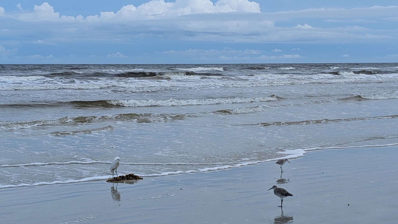 Photo of Others in New Smyrna Beach