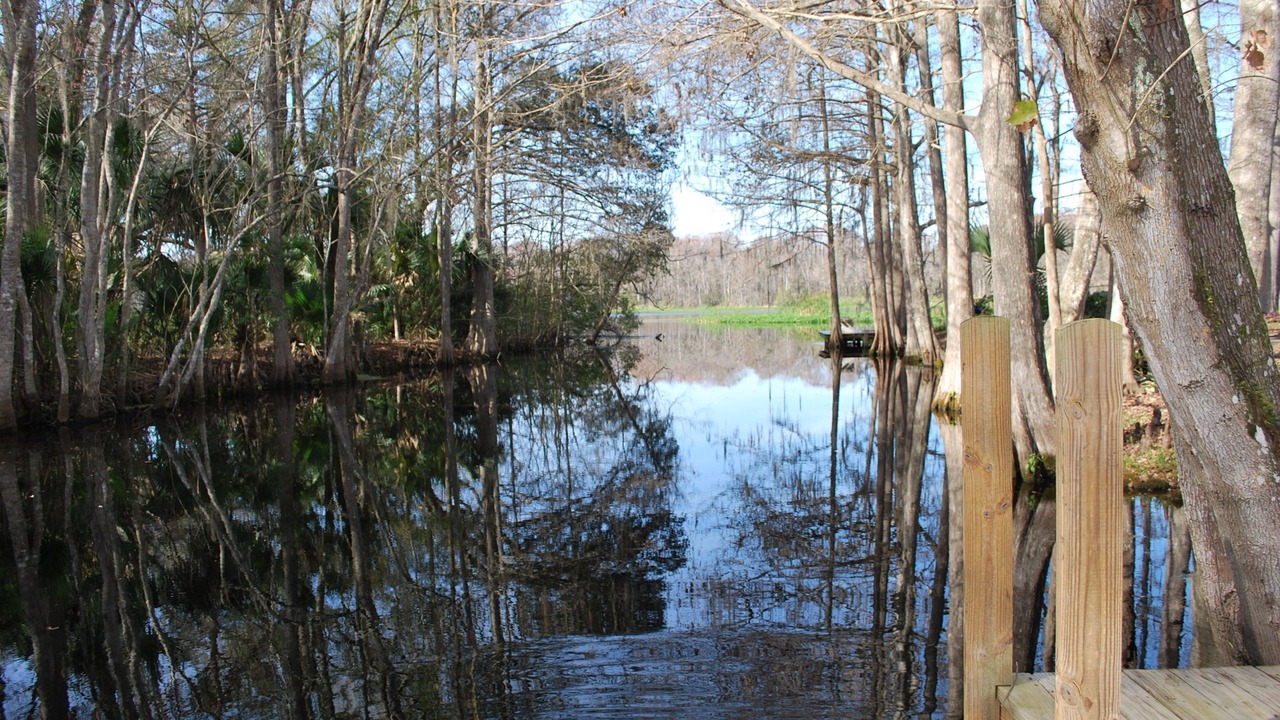 Photo of Others in Lake Panasoffkee