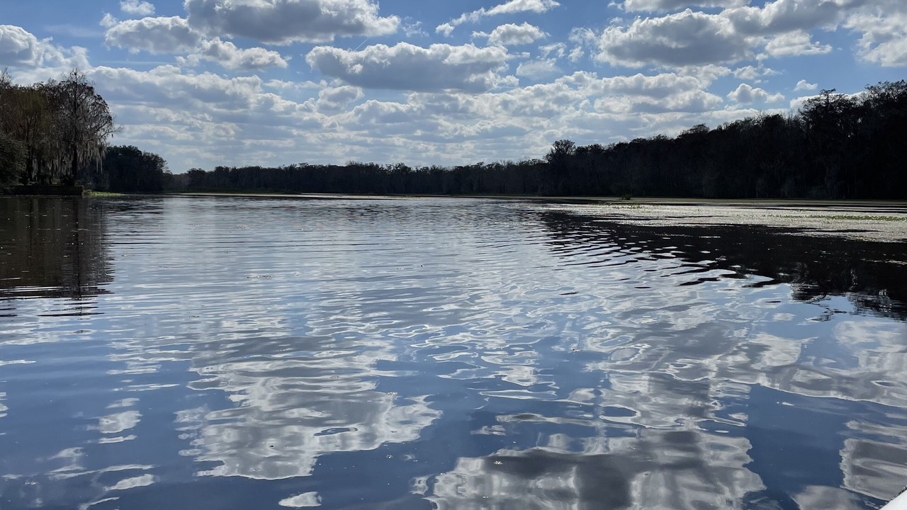 Photo of Others in Lake Panasoffkee