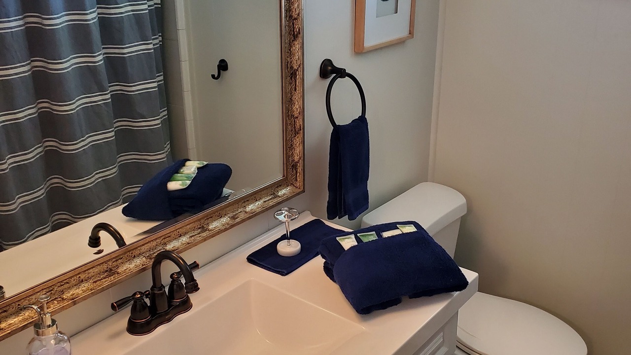 Photo of Bathroom in Tavares