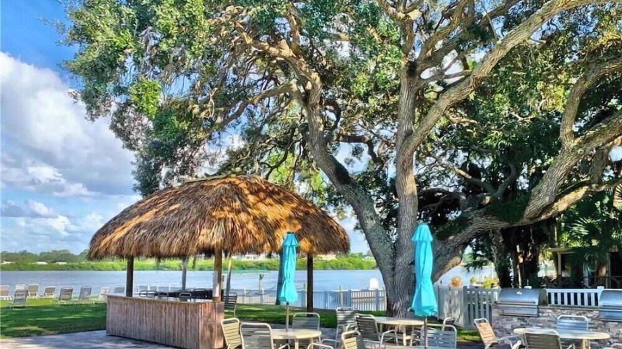 Photo of Outdoor in Siesta Key