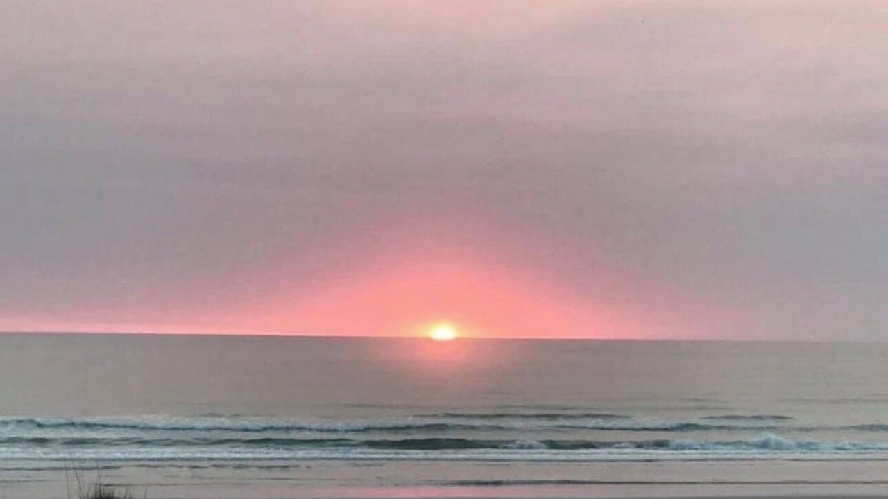 Photo of Others in Ponce Inlet