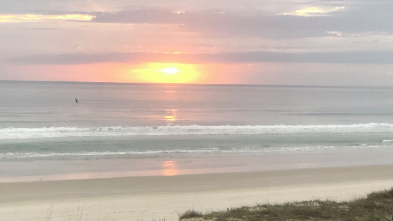 Photo of Others in Ponce Inlet