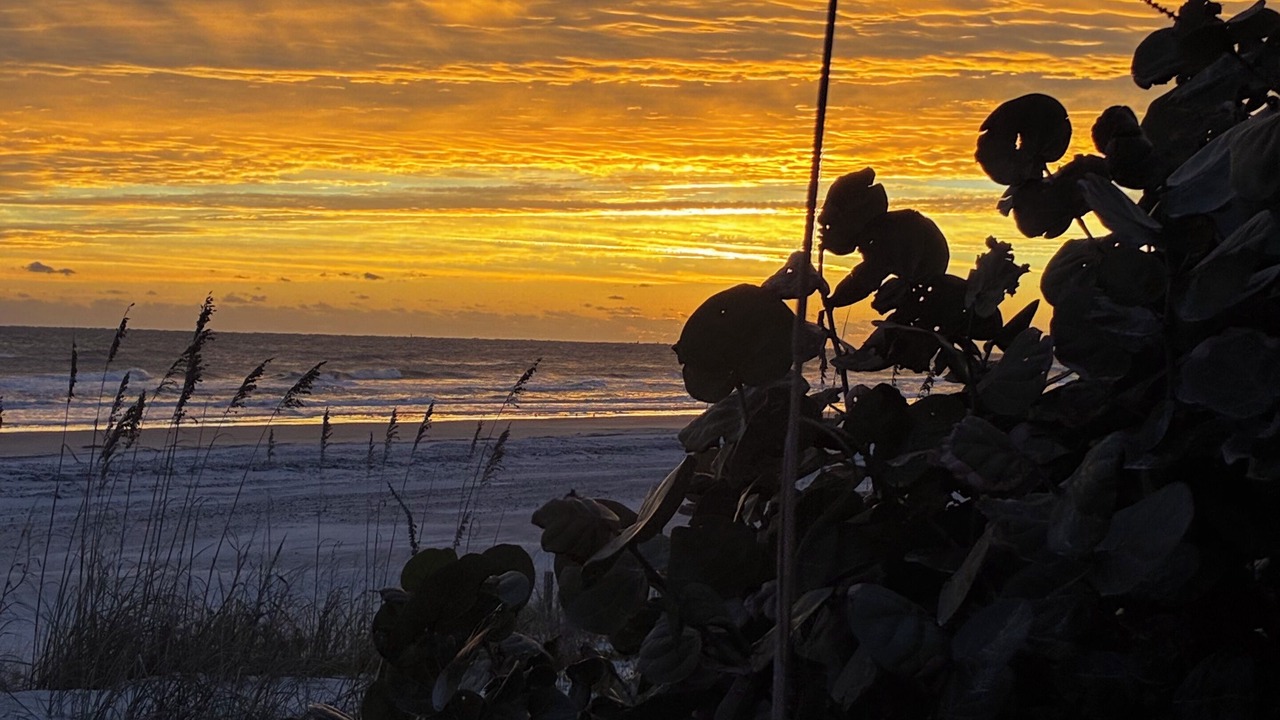 Photo of Others in Ponce Inlet