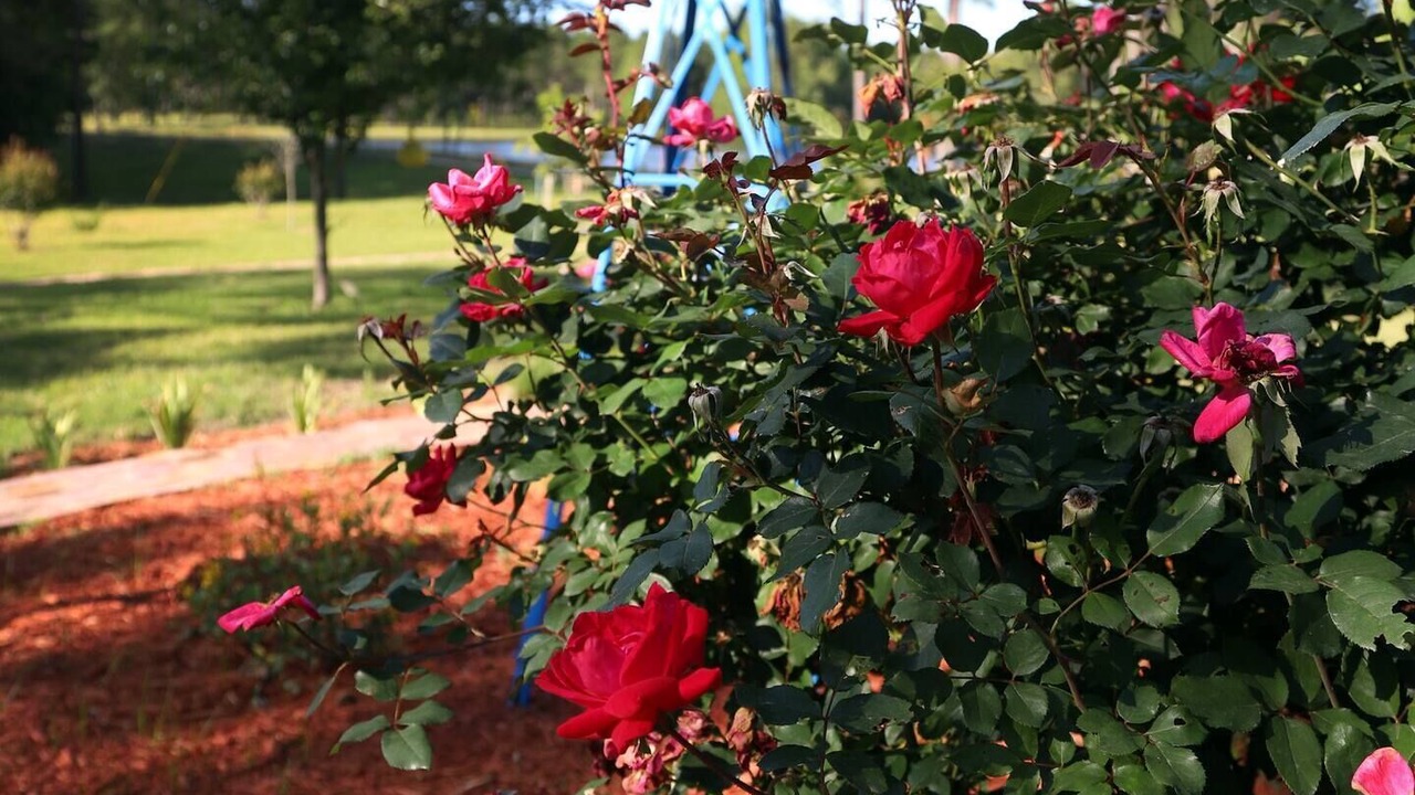 Photo of Outdoor in Eastman