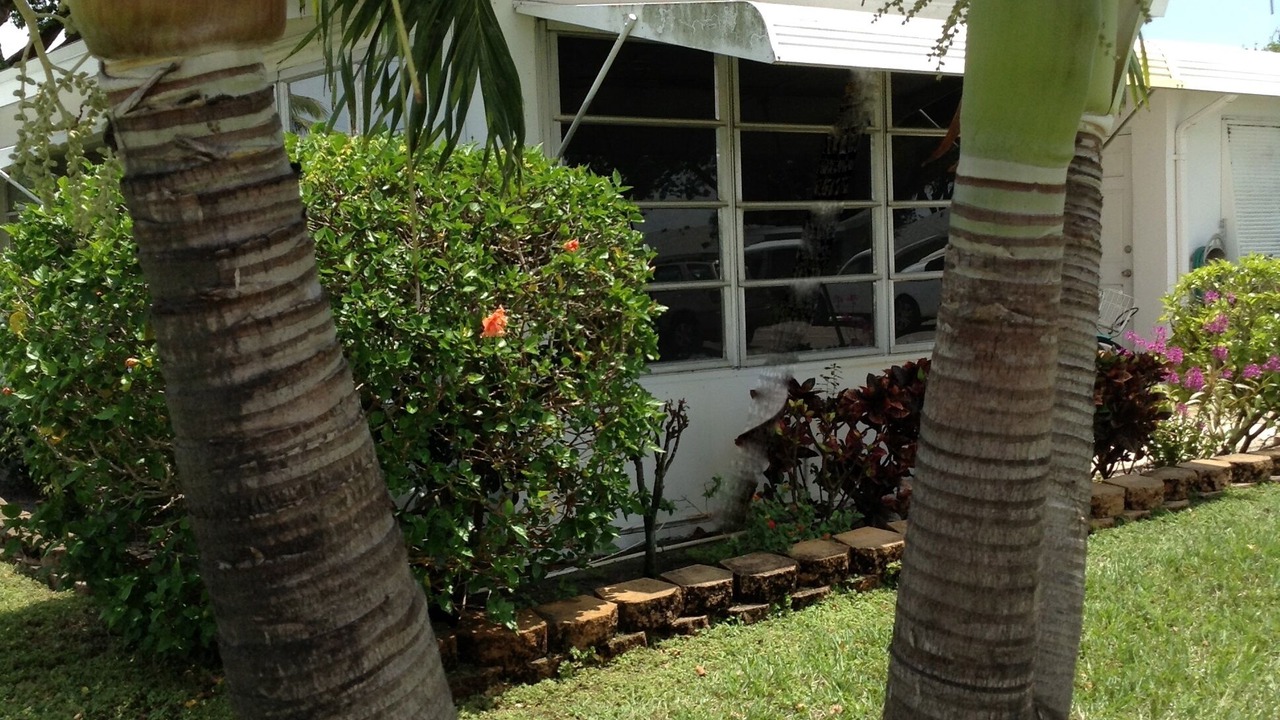 Photo of Outdoor in Delray Beach