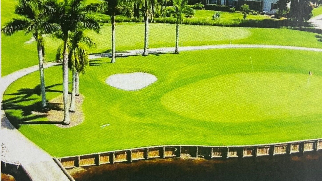 Photo of Others in East Naples