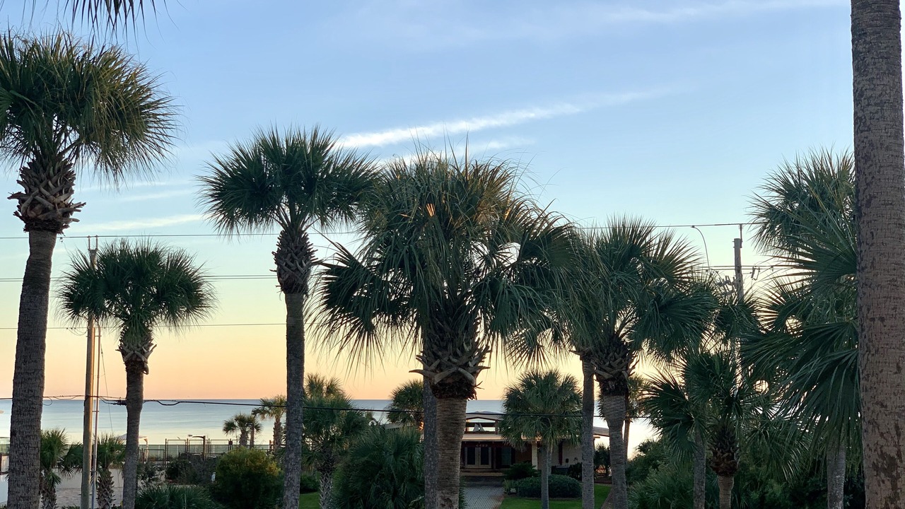 Photo of Patio Balcony in Gulf Place