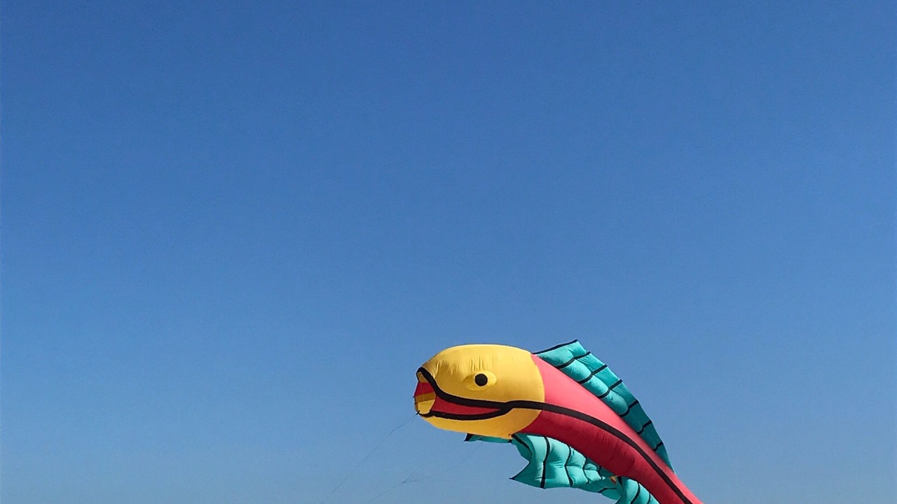 Photo of Others in New Smyrna Beach