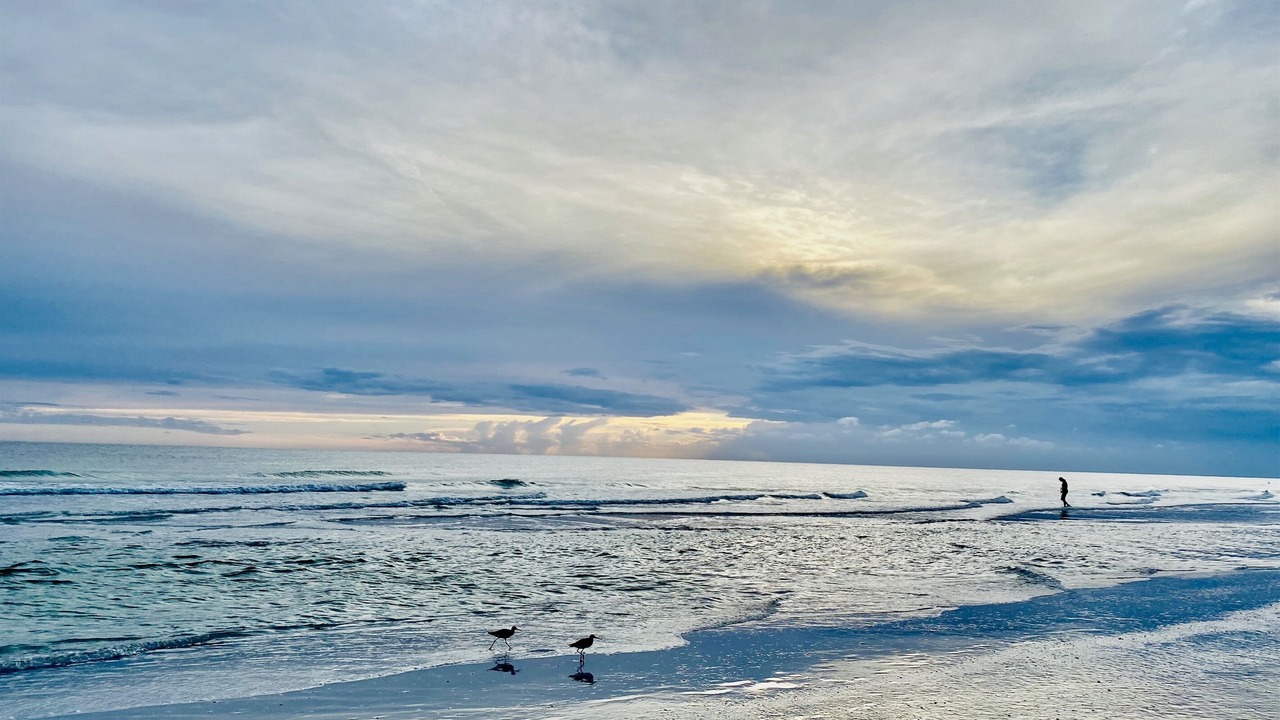 Photo of Others in Holmes Beach
