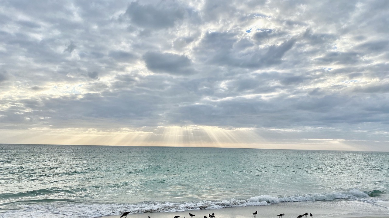 Photo of Others in Holmes Beach