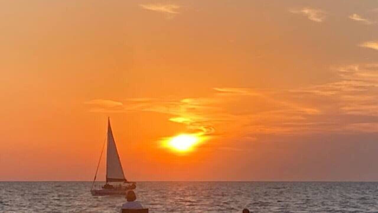 Photo of Others in Sarasota