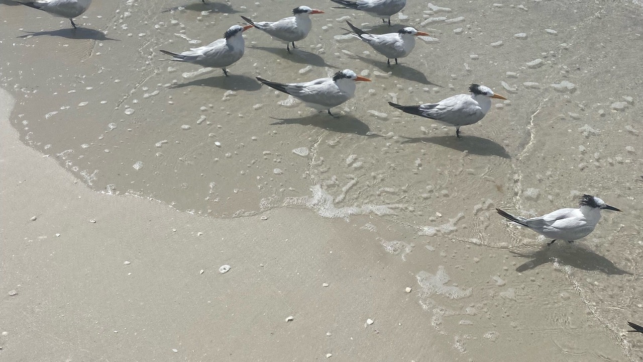 Photo of Others in Bonita Bay