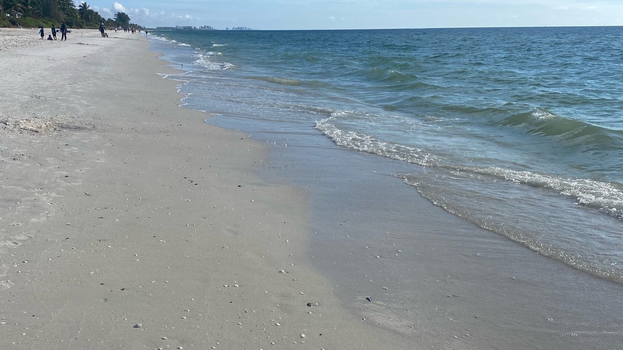 Photo of Others in Bonita Bay