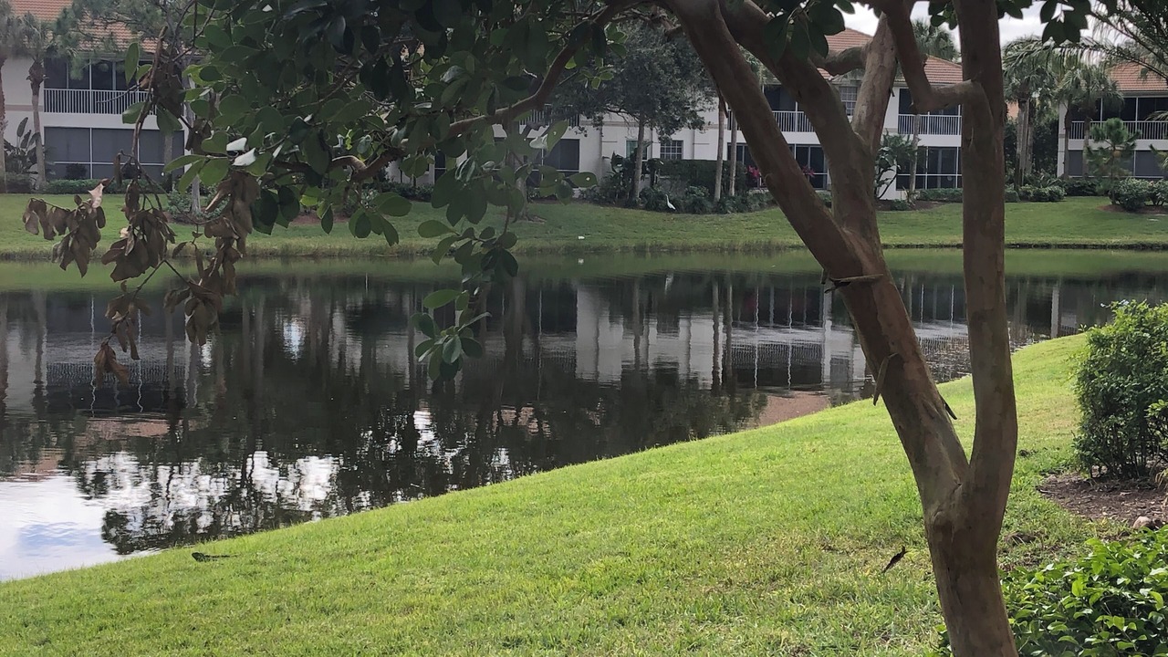 Photo of Outdoor in Bonita Bay