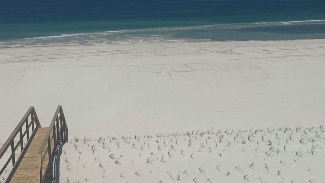 Photo of Others in Cape San Blas