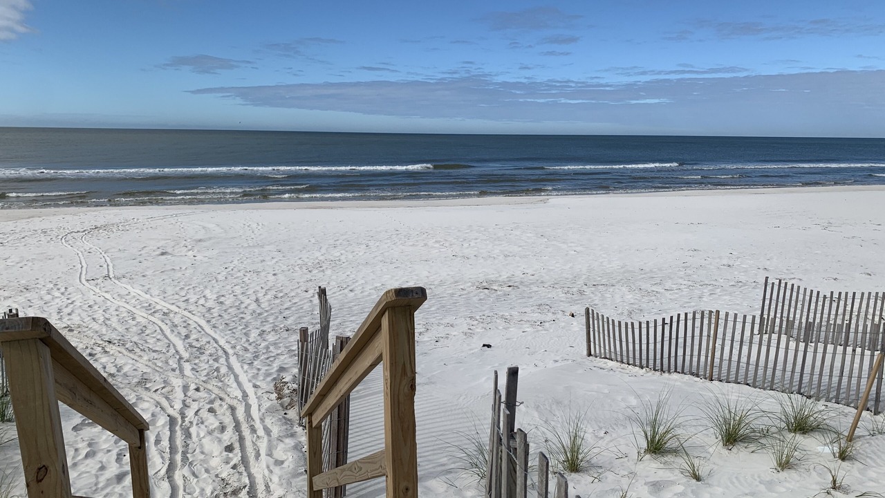 Photo of Others in Cape San Blas
