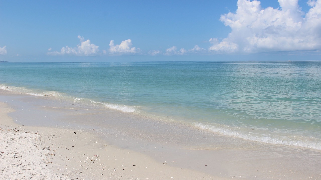 Photo of Others in Bonita Springs