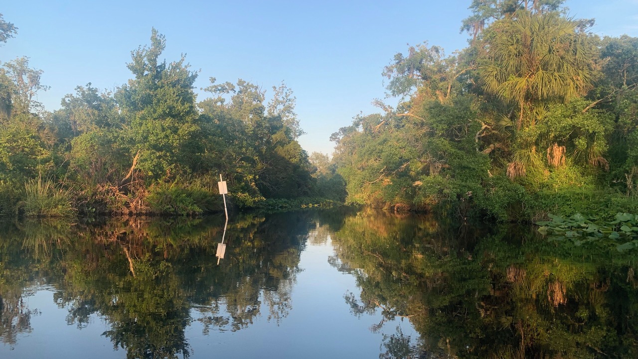 Photo of Outdoor in Ruskin