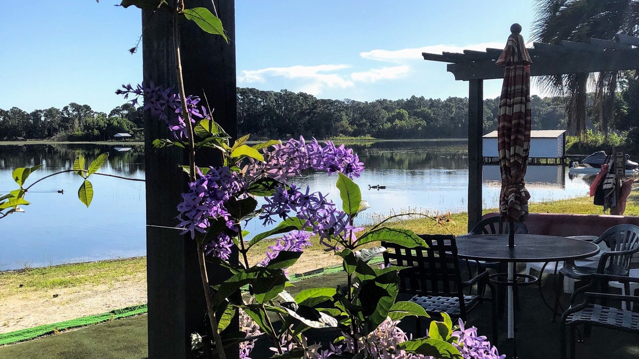 Photo of Outdoor in Lake Mary