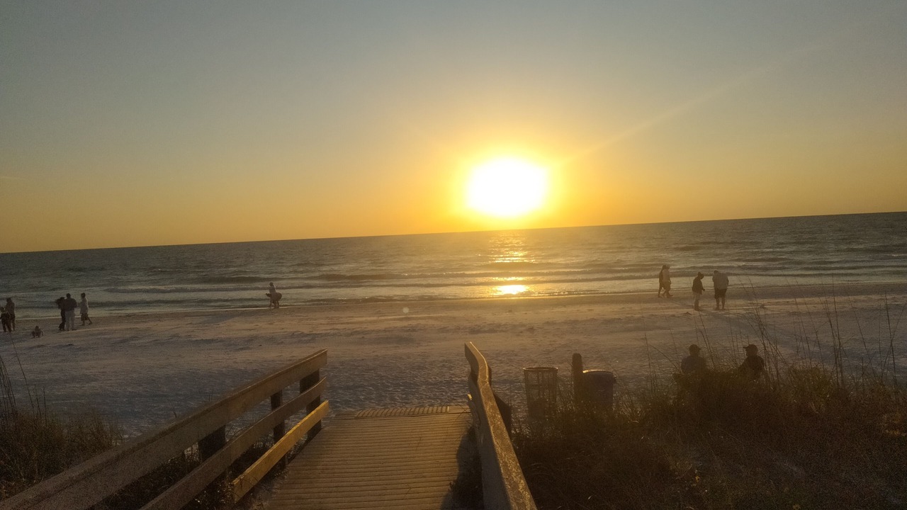 Photo of Others in Indian Rocks Beach