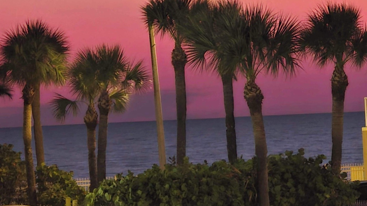 Photo of Others in Madeira Beach