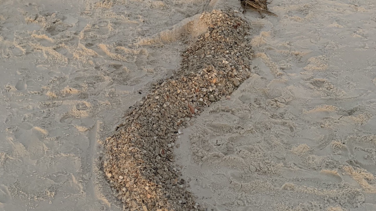 Photo of Others in Port St. Joe