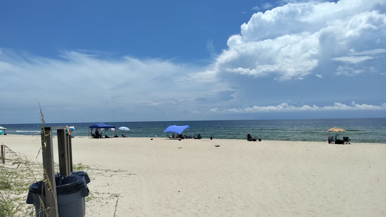 Photo of Others in Carrabelle