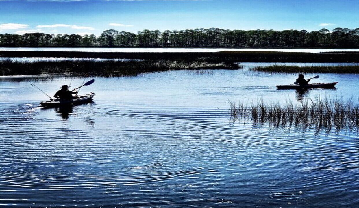Photo of Others in Carrabelle