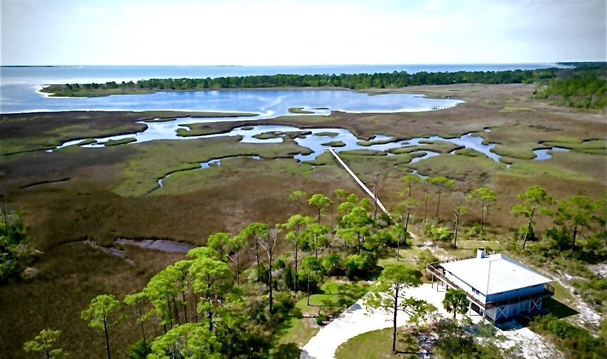 Photo of Others in Carrabelle