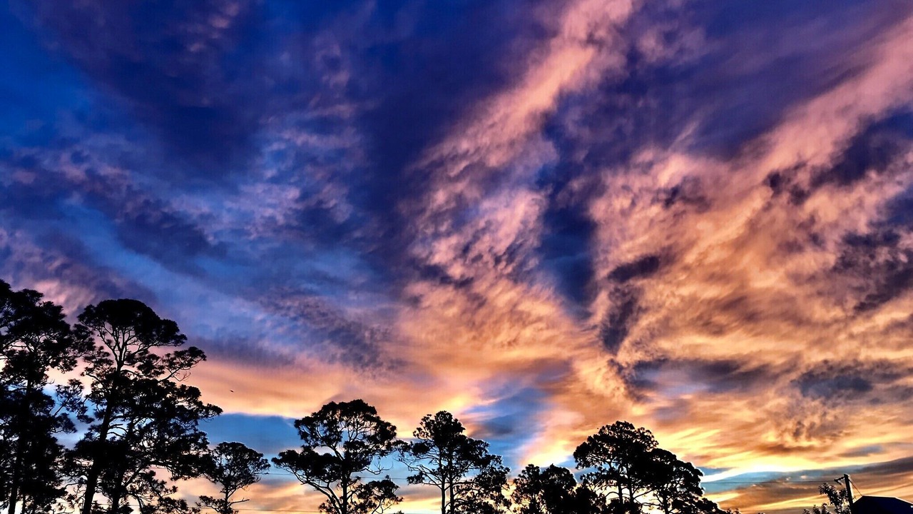 Photo of Others in Carrabelle