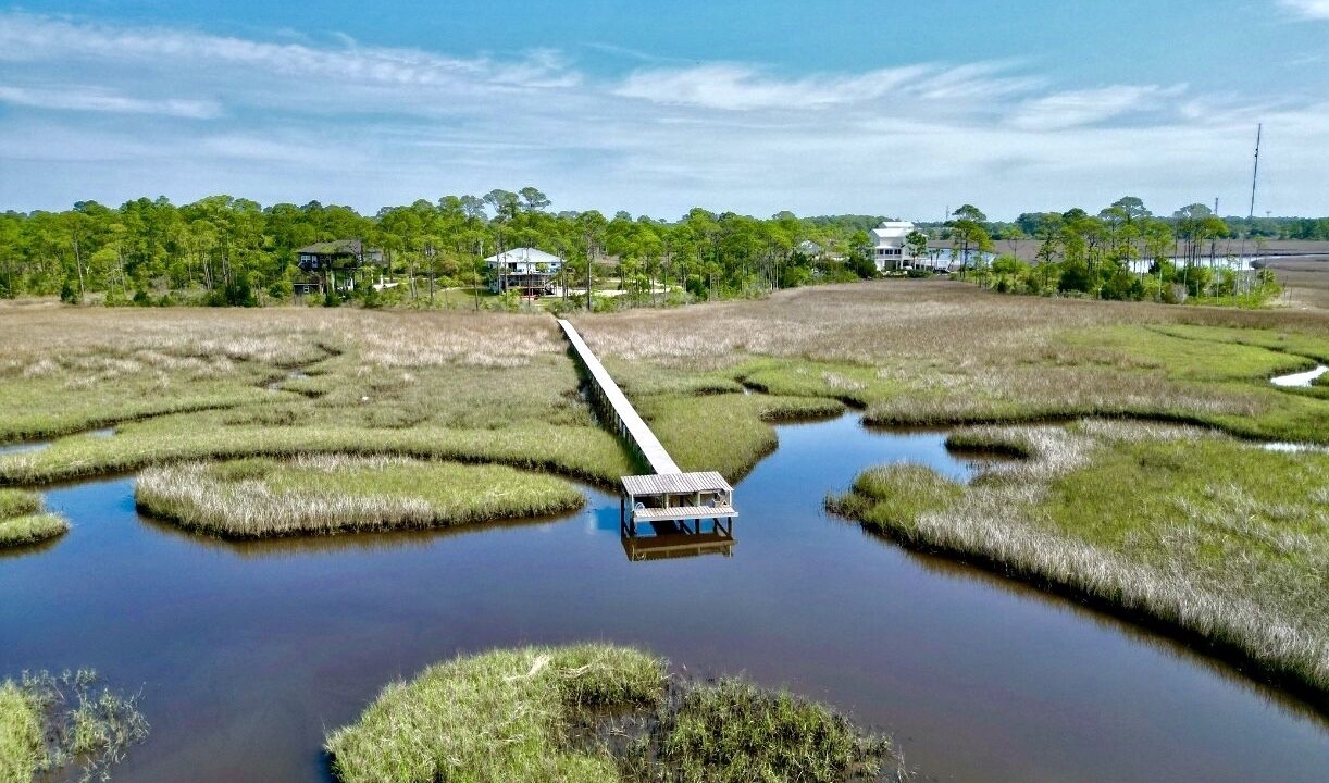 Photo of Outdoor in Carrabelle
