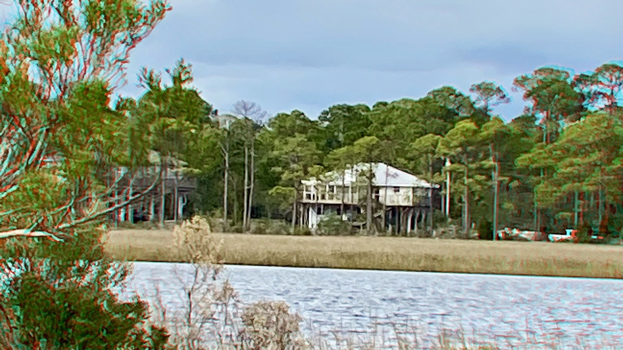 Photo of Others in Carrabelle