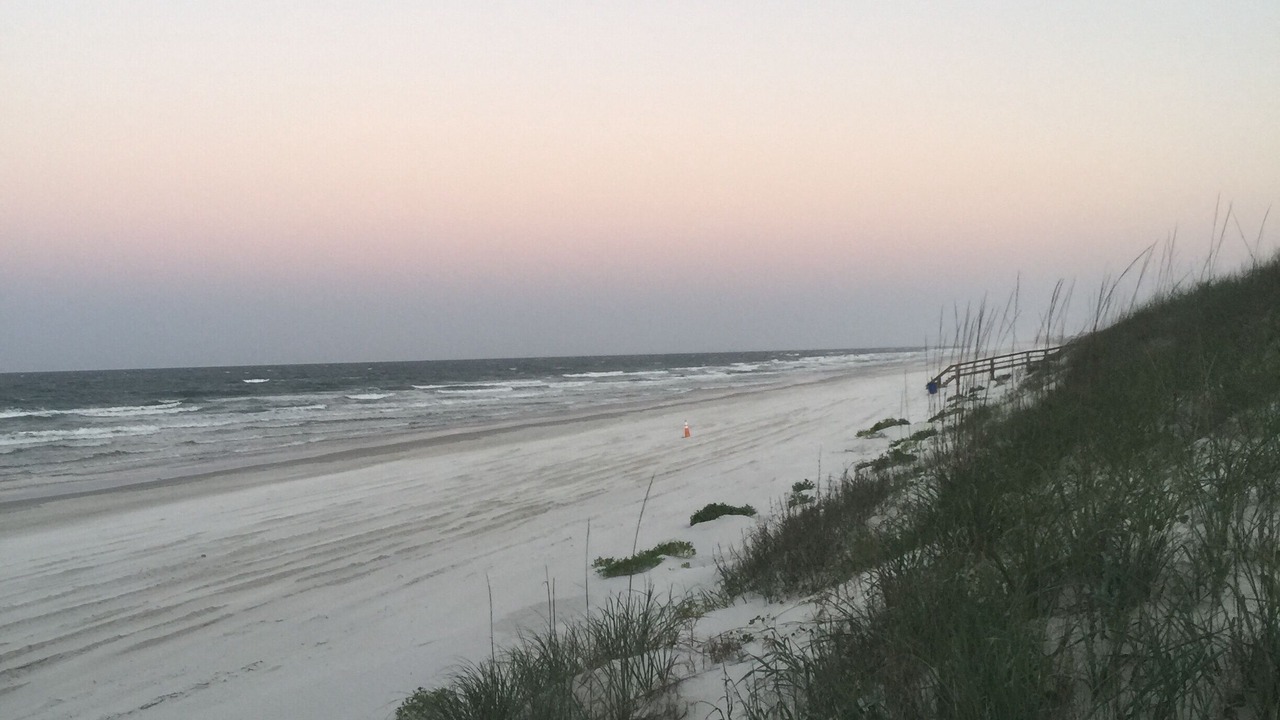 Photo of Others in Crescent Beach