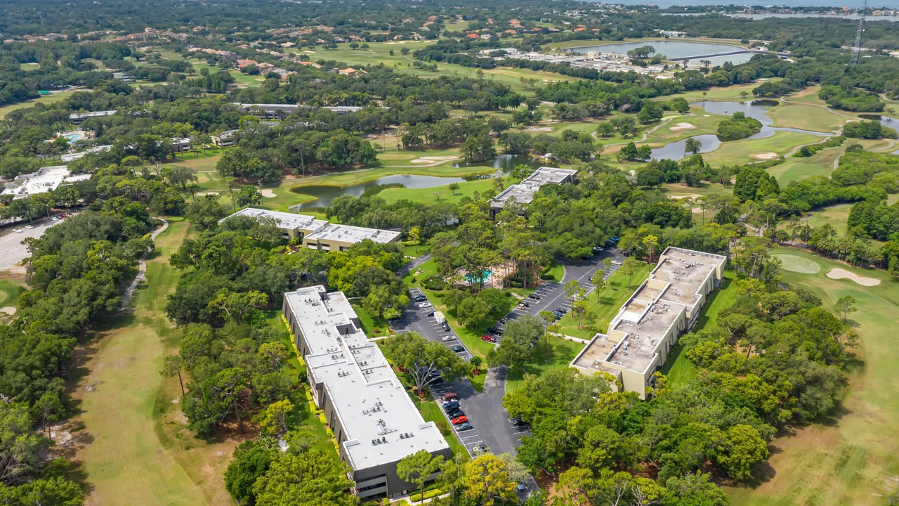 Photo of Outdoor in Palm Harbor