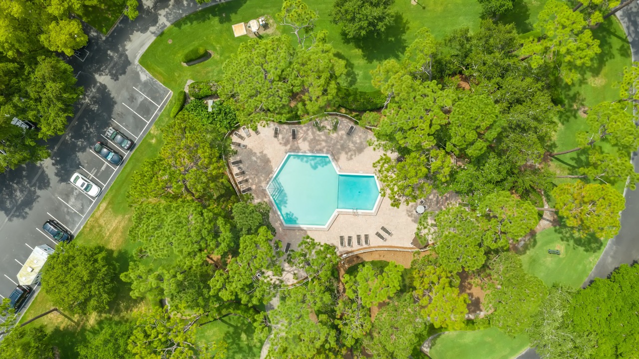 Photo of Outdoor in Palm Harbor