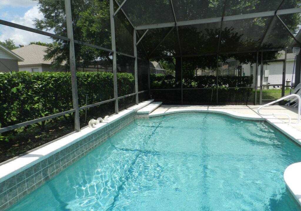 Photo of Outdoor in Orange Tree