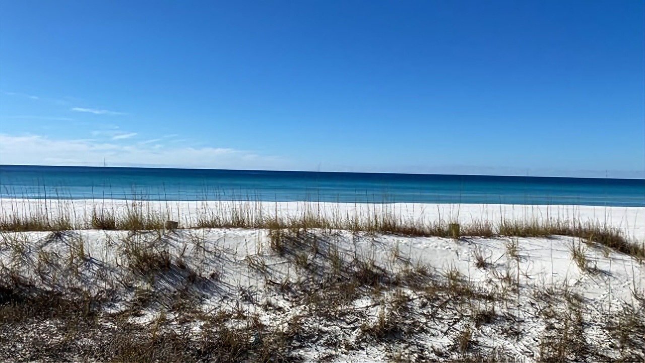 Photo of Others in Gulf Lagoon Beach