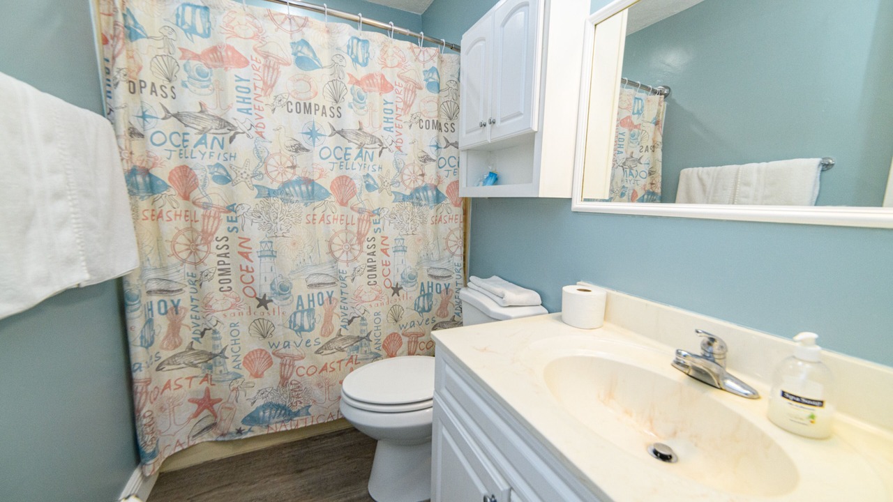 Photo of Bathroom in Gulf Lagoon Beach