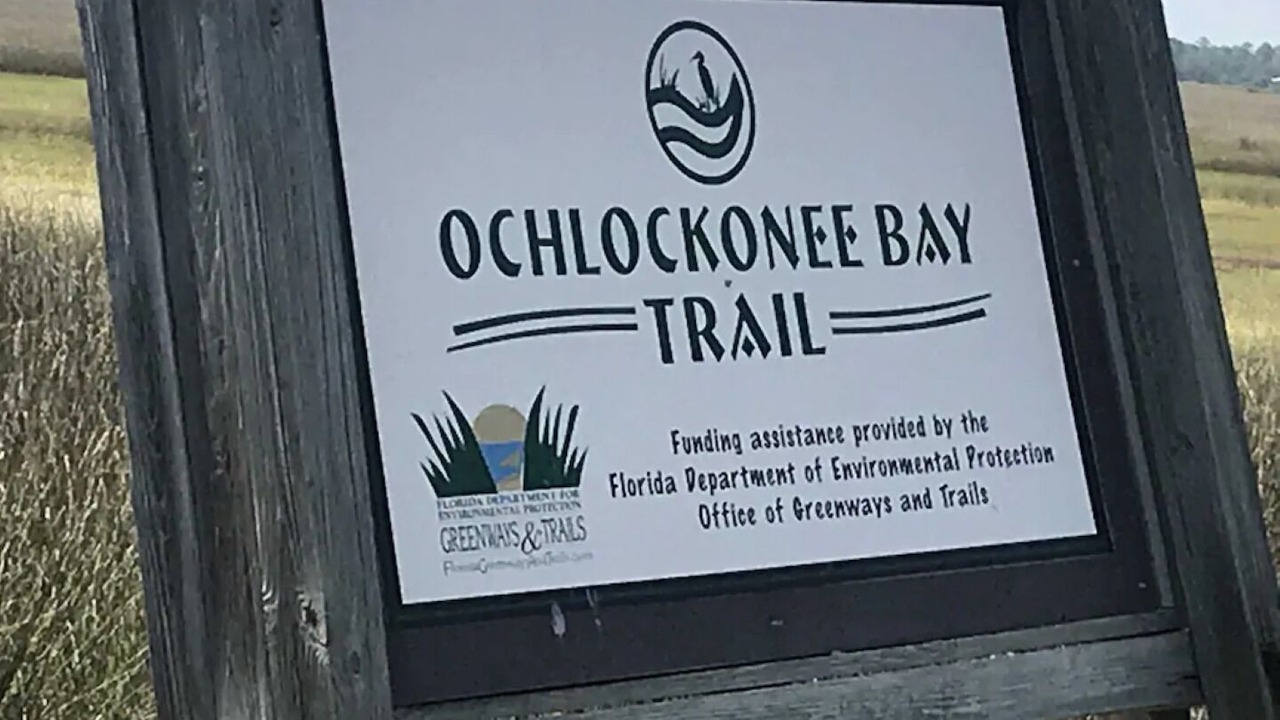 Photo of Outdoor in Panacea