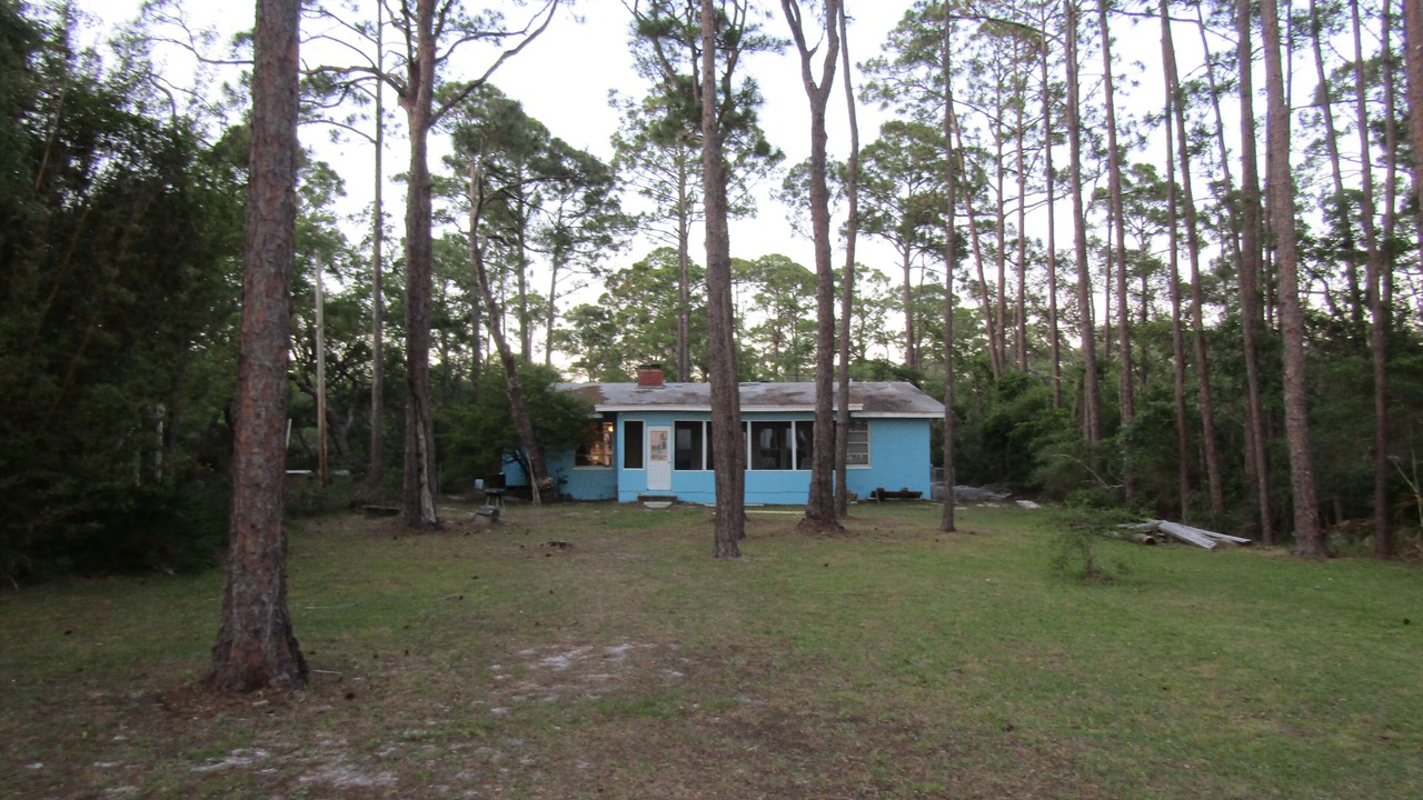 Photo of Outdoor in Panacea
