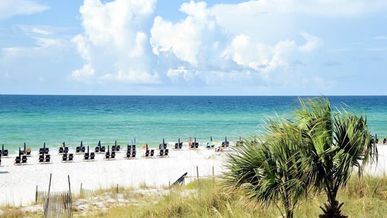 Photo of Others in Miramar Beach
