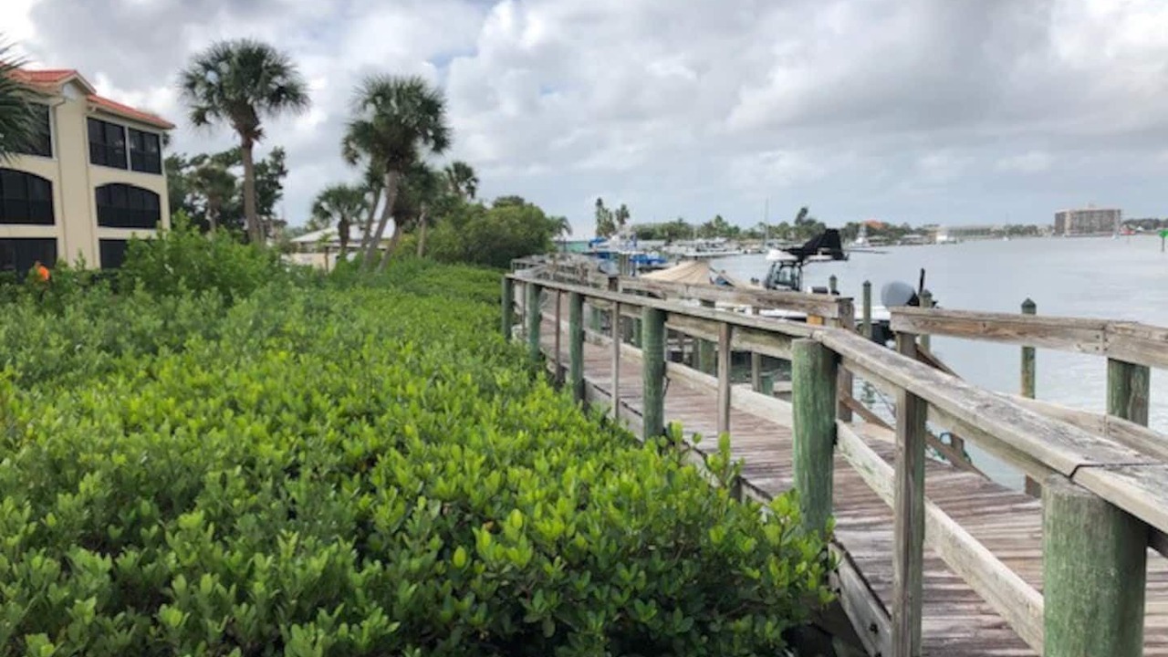 Photo of Others in Bouchelles Island