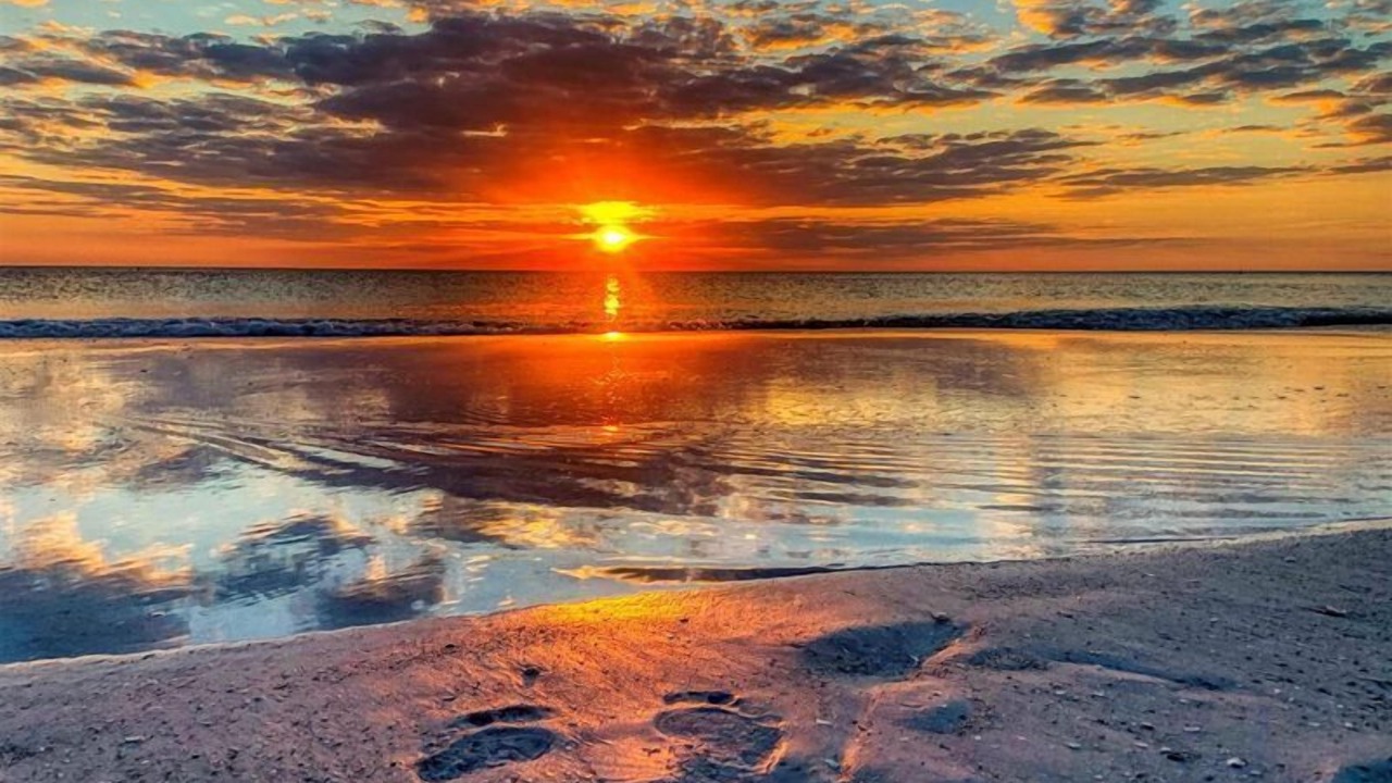 Photo of Others in Clearwater Beach